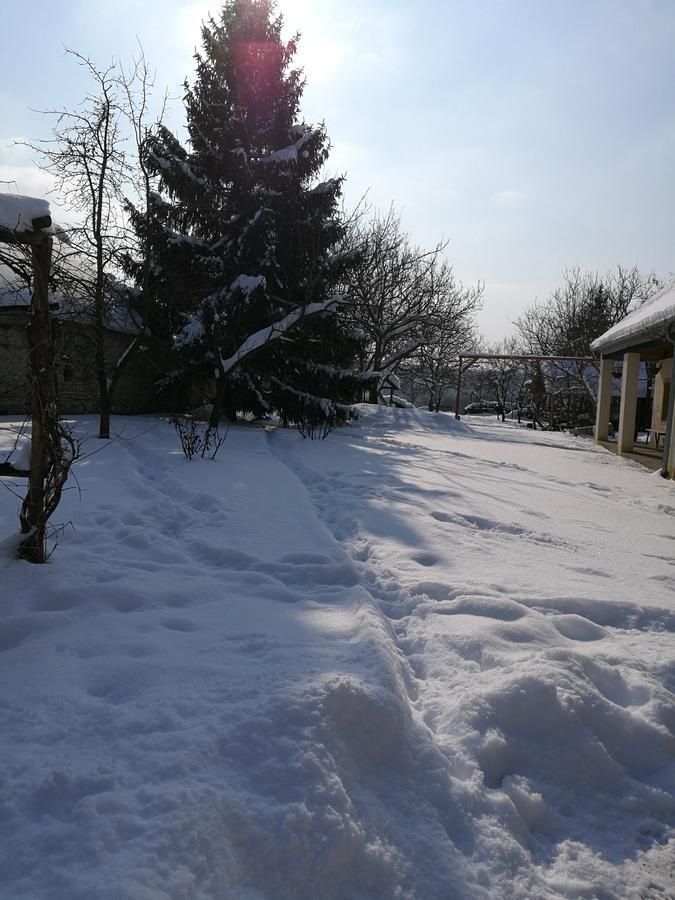 Koppány Lovasudvar Bakonykoppány Exterior foto